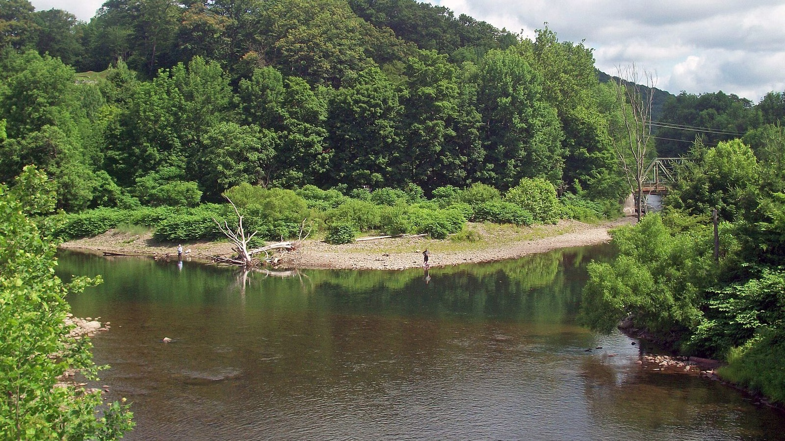 A wide green pool below summer woods, with two small figures wading near a gravel bar.