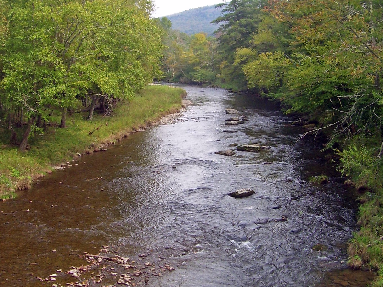 A shallow, rocky river running between green and early-fall trees.