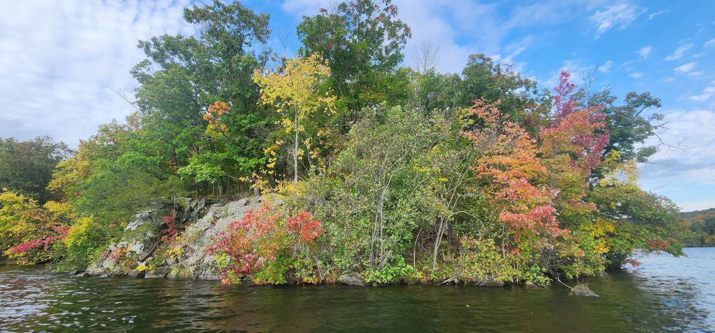 A rocky point covered in green, gold, and red fall trees, rising out of dark water under a blue sky with white clouds.