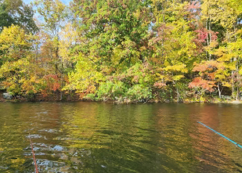 Two fishing rods pointed at a shoreline of yellow and orange fall trees reflected in rippled water.