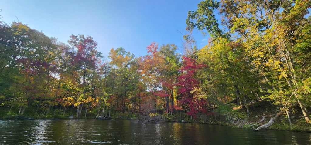A shoreline of fall trees in yellow, orange, and bright red over calm dark water.
