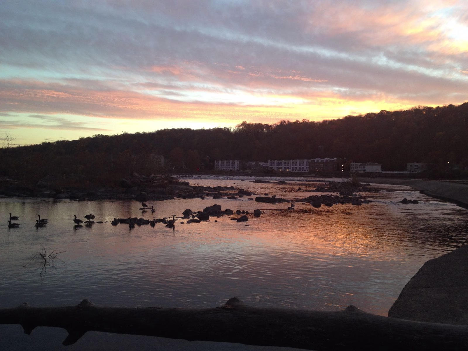 Geese on rocky riffles under a pink and orange sunset sky.