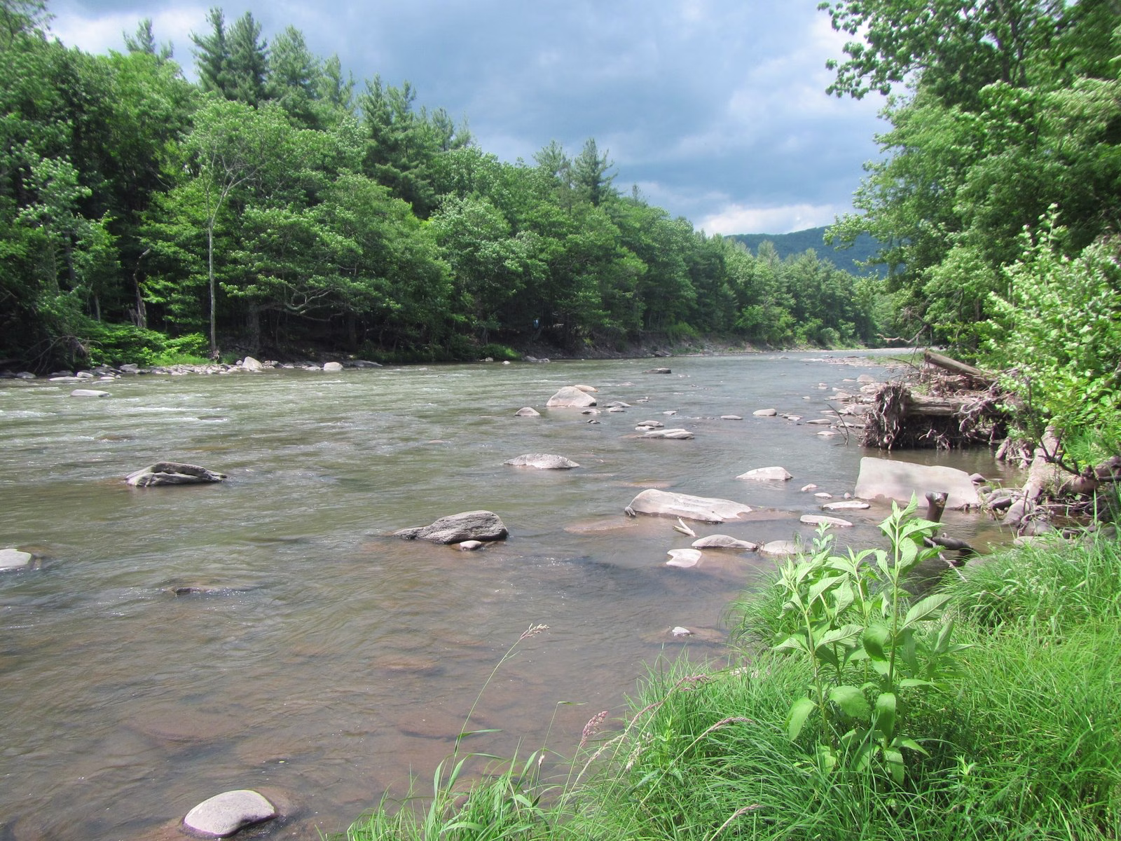 A shallow river full of boulders with a downed log, under a stormy sky.