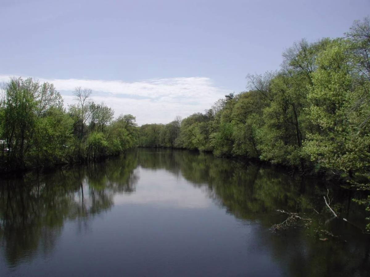 A still river reflecting green banks and a pale sky.