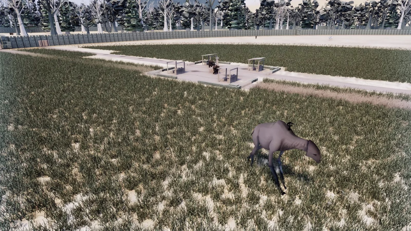 A pale, long-necked four-legged animal grazing in a grass field, with market stalls, a road and a wooden wall behind.