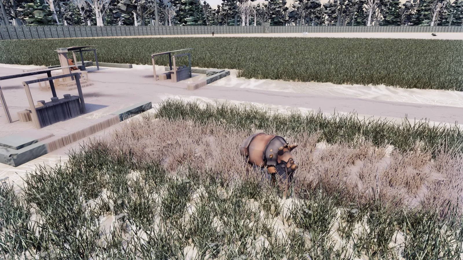 A horned, armored four-legged beast grazing in tall dry grass beside empty market stalls and a road.