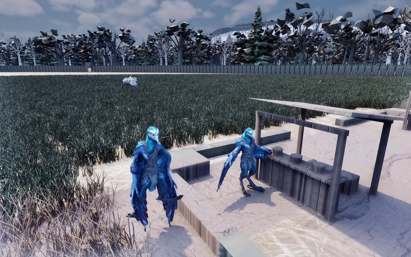 Two blue feathered bird-like figures in coats standing beside a wooden market stall on pale paving, with grass and forest behind.