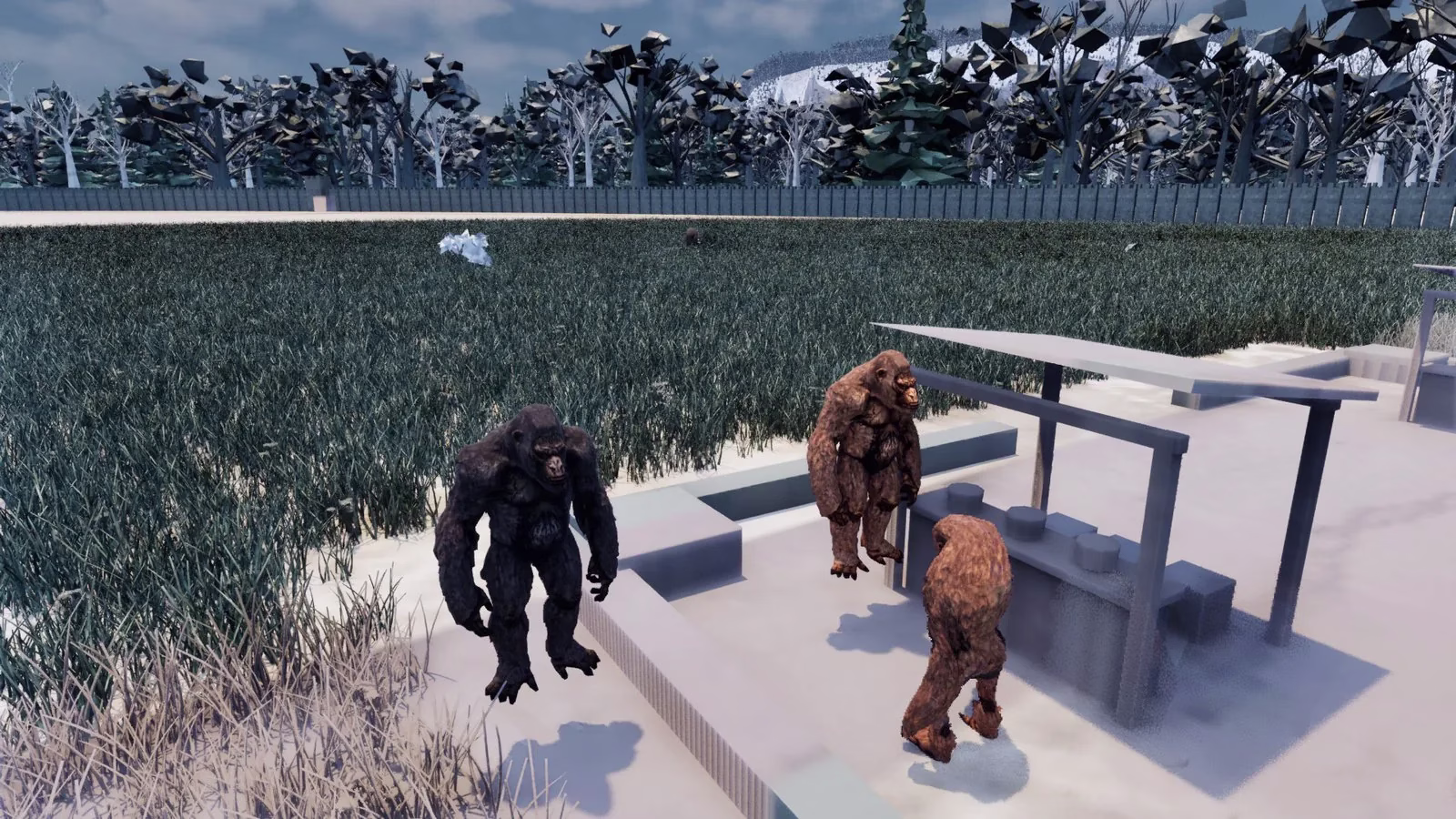 Three ape-like Simthyn, one black and two brown, beside a market stall on pale paving, with a grass field, a wooden wall and snowy trees behind.
