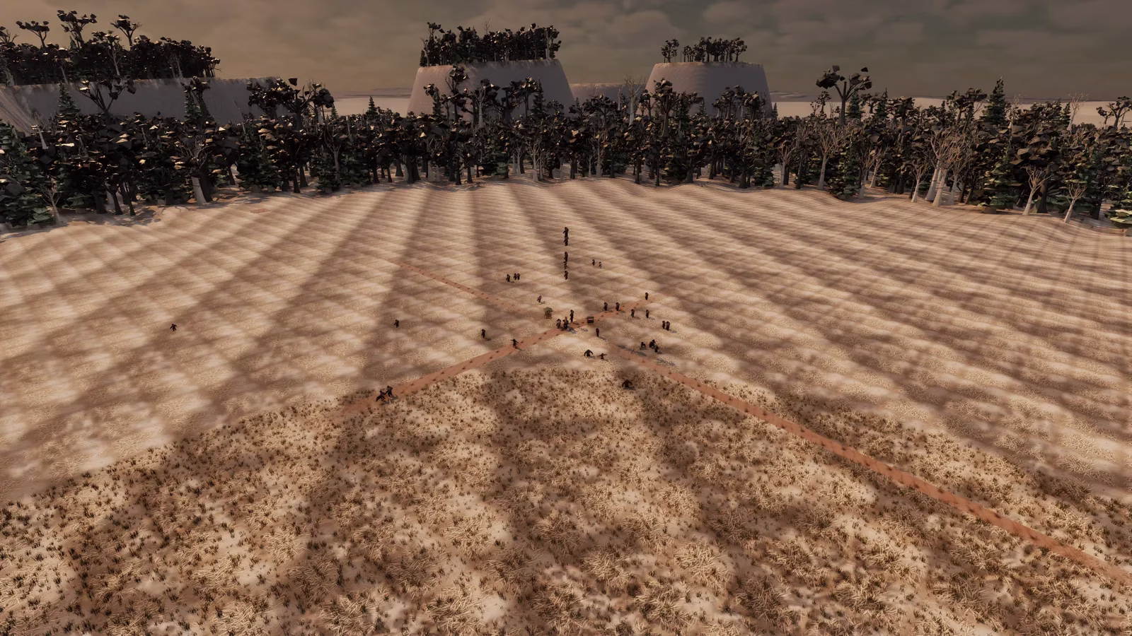 A wide aerial view of a sandy field with a crossing of two dirt paths, a small crowd of dark figures at the center, and long tree shadows forming a diamond lattice across the ground, with forested flat-topped hills behind.
