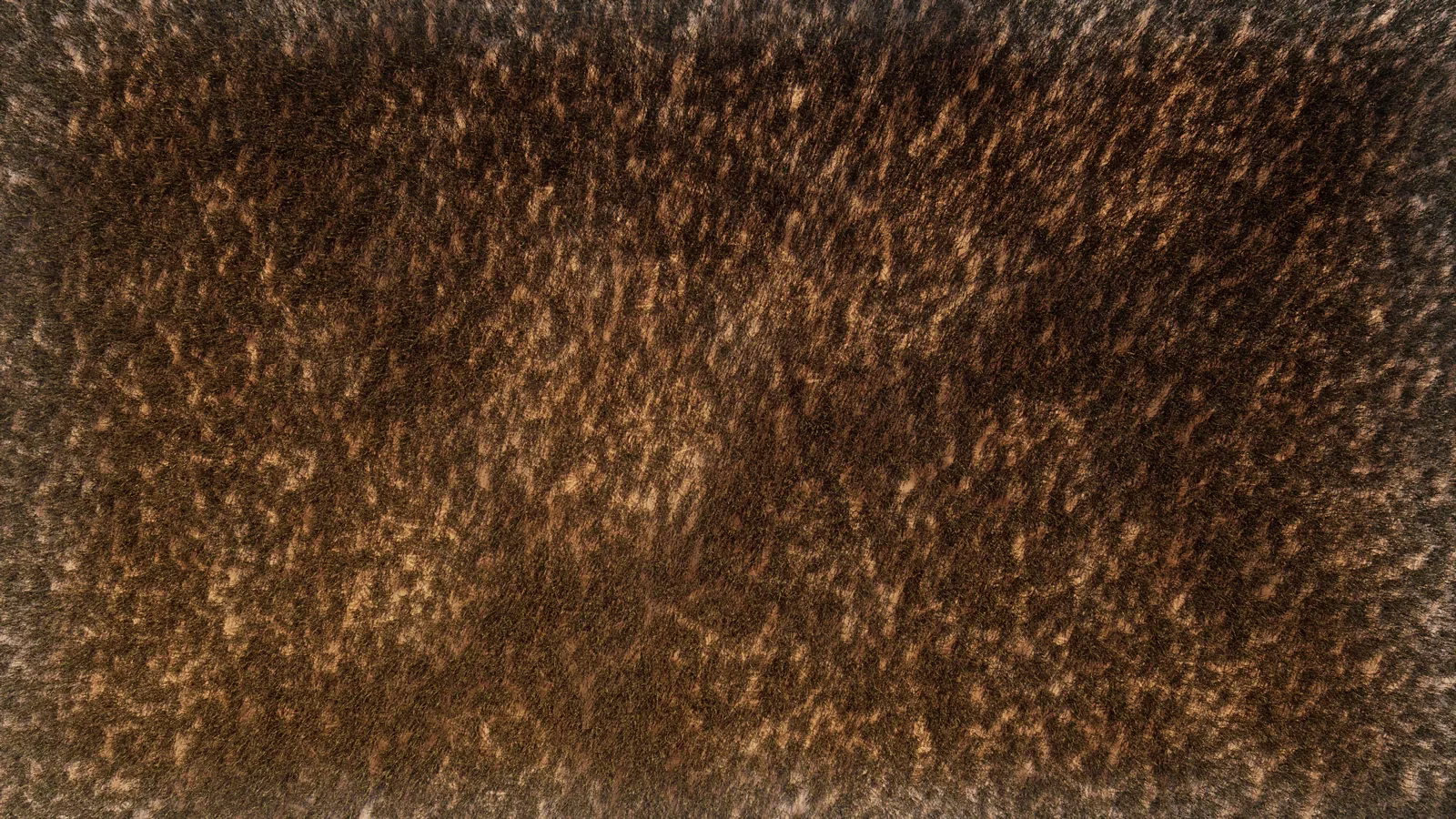 A top-down view of dense dry golden grass with no visible pattern.