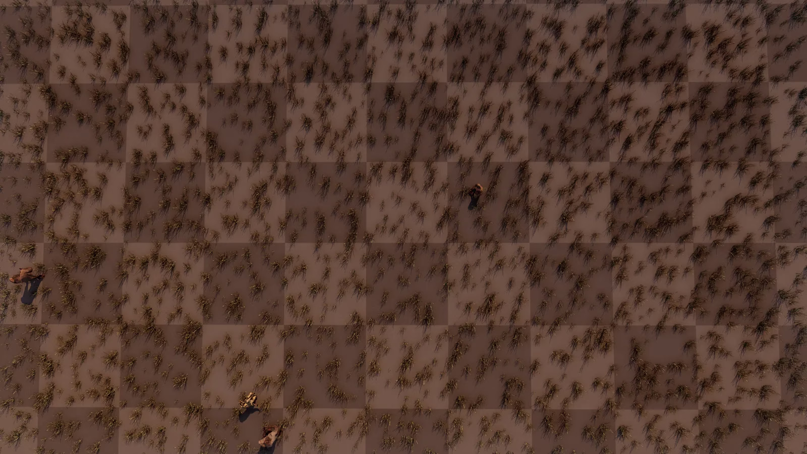 A top-down view of dry grass laid out in a visible checkerboard of squares.