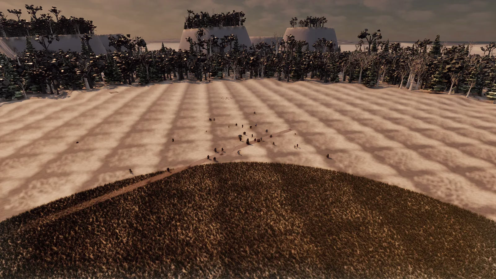 A wide bare plain of pale sand striped with long shadows, a few dozen tiny figures gathered around a dirt track, a dark hill of grass in the foreground and a line of trees behind.