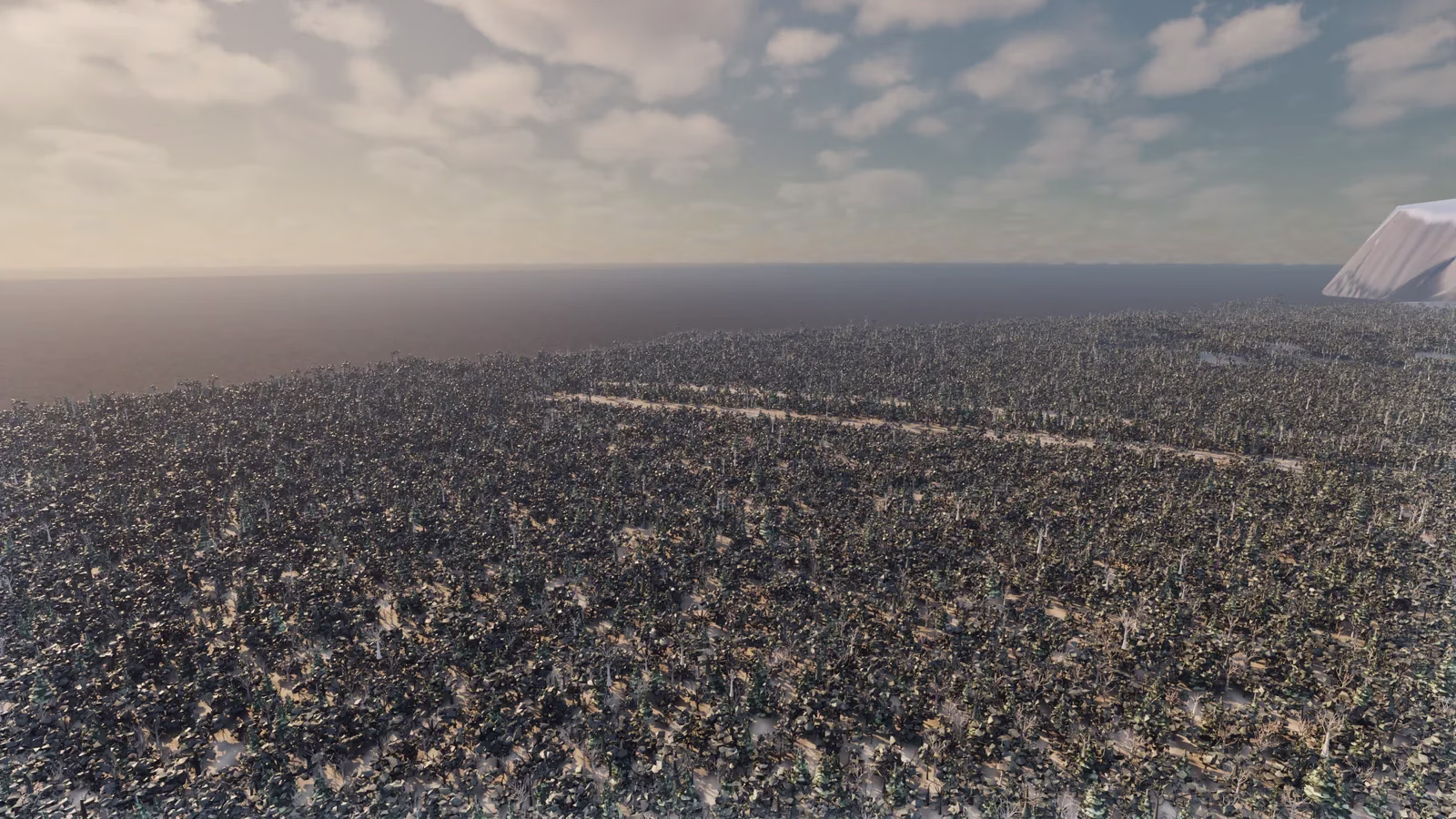 A wide view over a dense carpet of dark trees with a pale road running through it, a snowy rise at the right edge, and a hazy sea on the horizon.