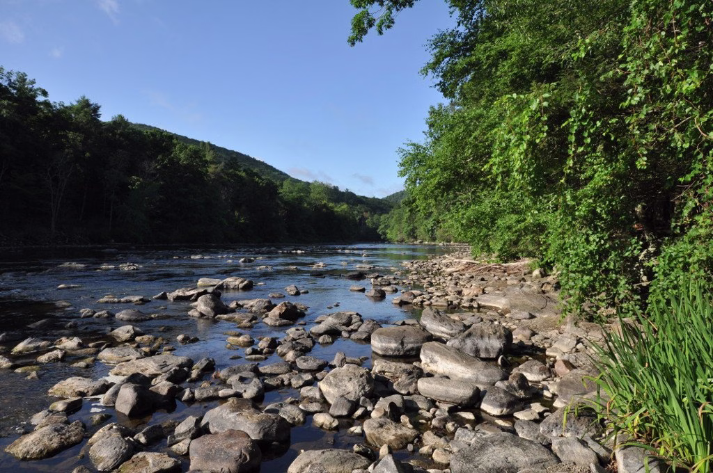 A rocky gravel bar and clear shallows below a wooded hillside.