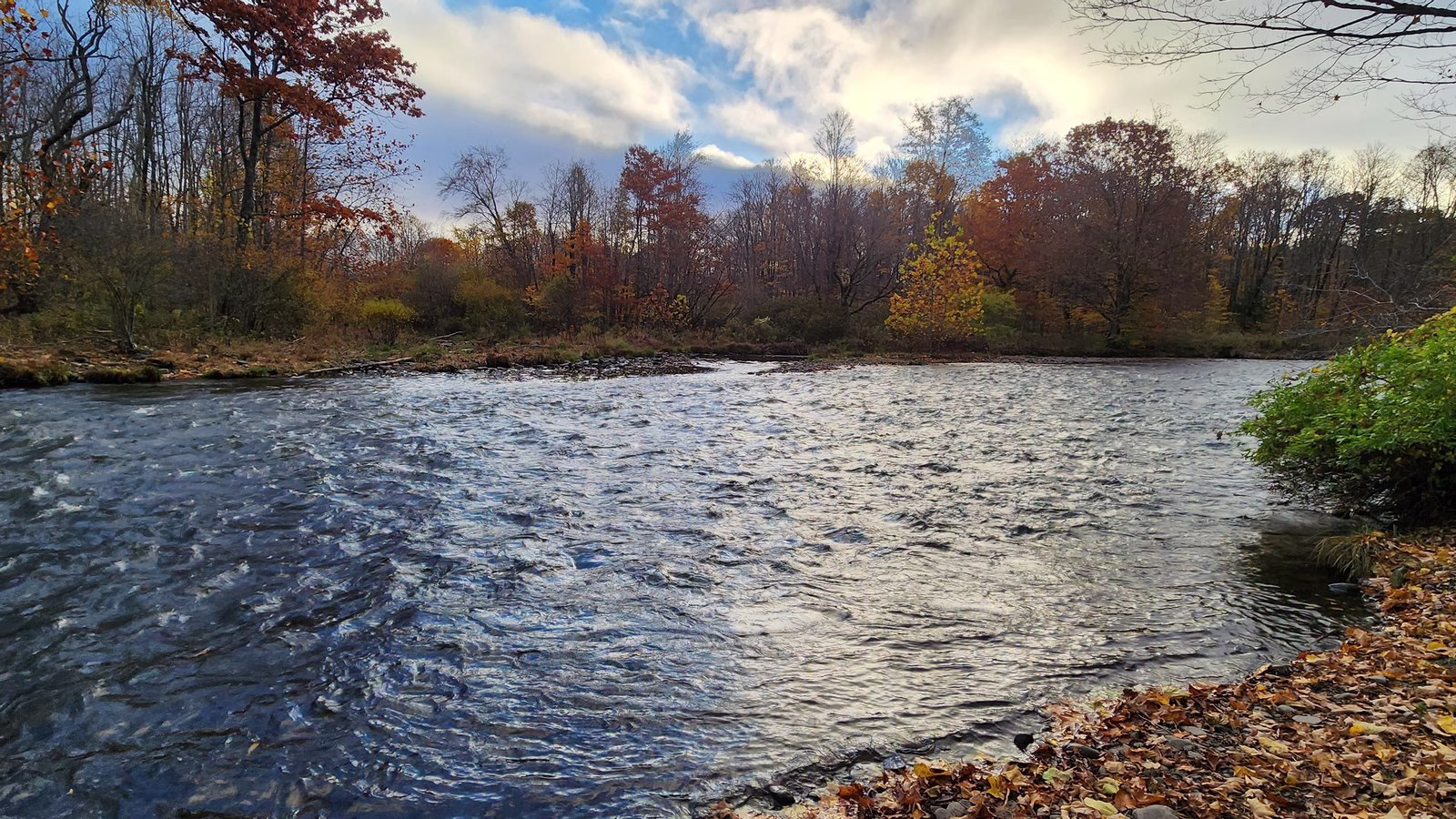 A wide, fast river curving past a gravel bar, with orange and gold fall trees under a bright, cloudy sky.