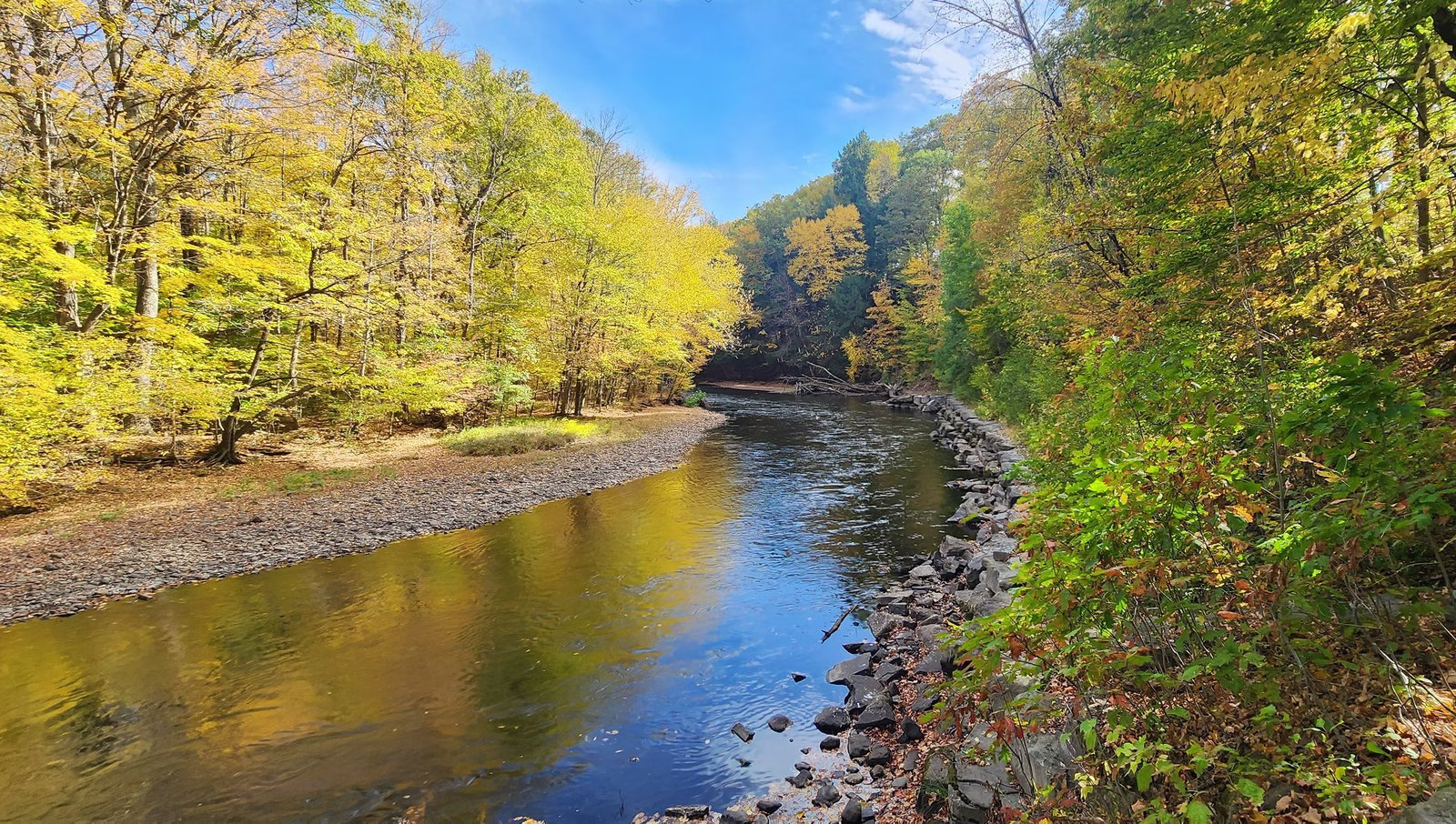 A calm river bending between a gravel bar and a rock-lined bank under bright yellow fall trees and a blue sky.