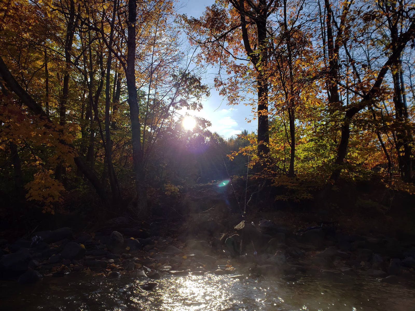 Low sun shining through yellow and orange trees onto a rocky bank, with two fishing rods leaned up by the water.