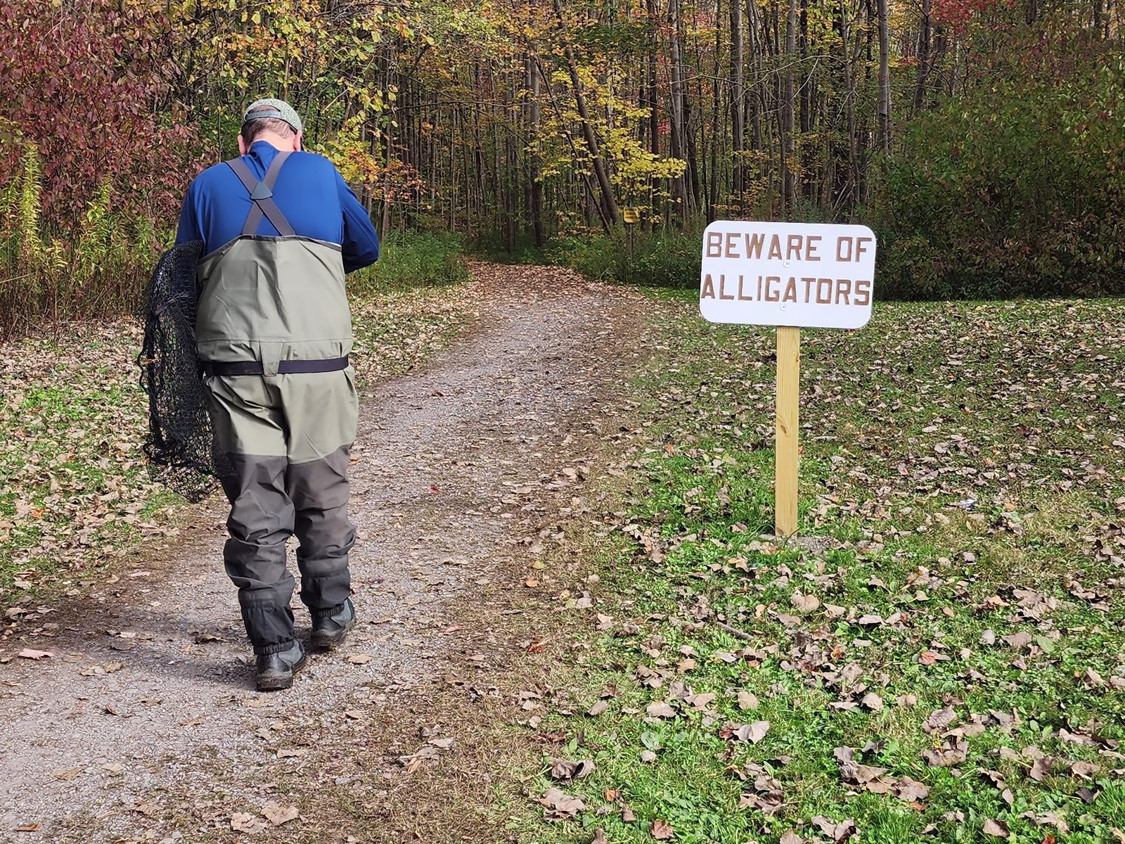 An angler in waders, seen from behind, walks a leafy path past a sign reading Beware of Alligators.
