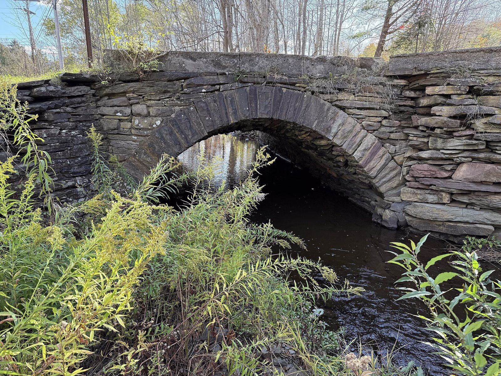 An old stone arch bridge over a small dark stream, framed by goldenrod.