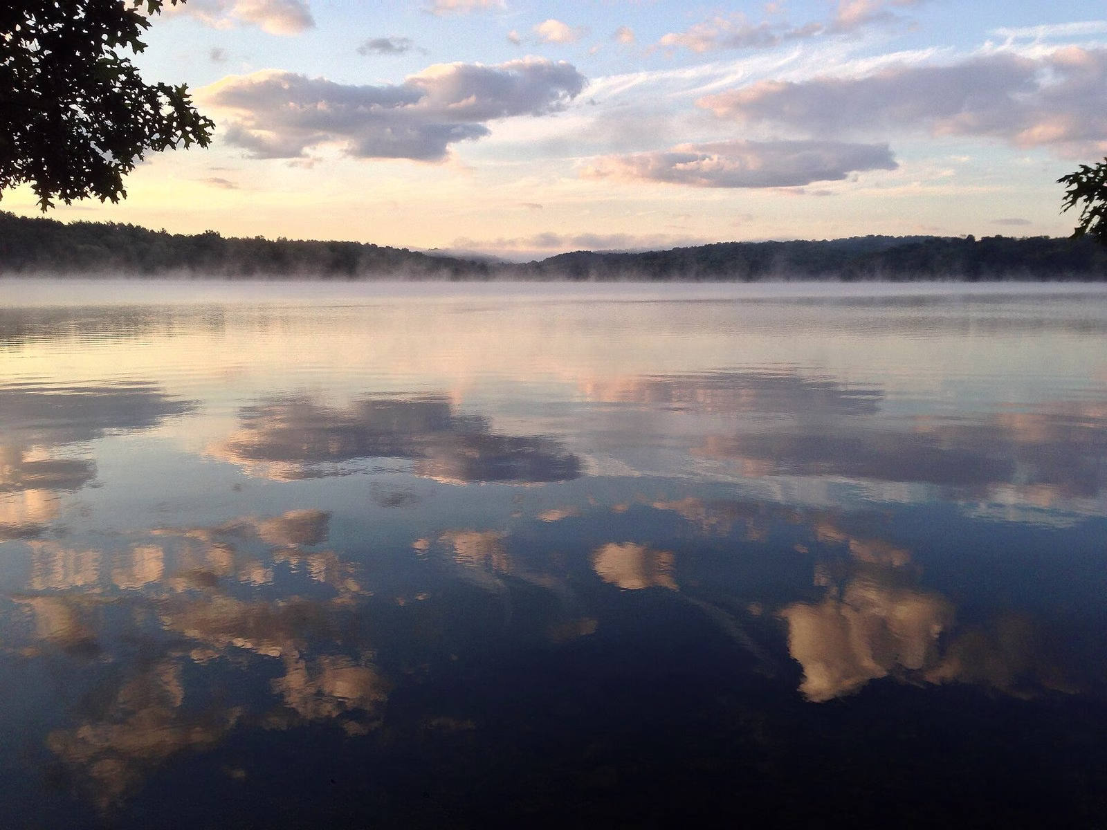 Mist on a still reservoir reflecting pink-lit clouds, with a dark tree line beyond.